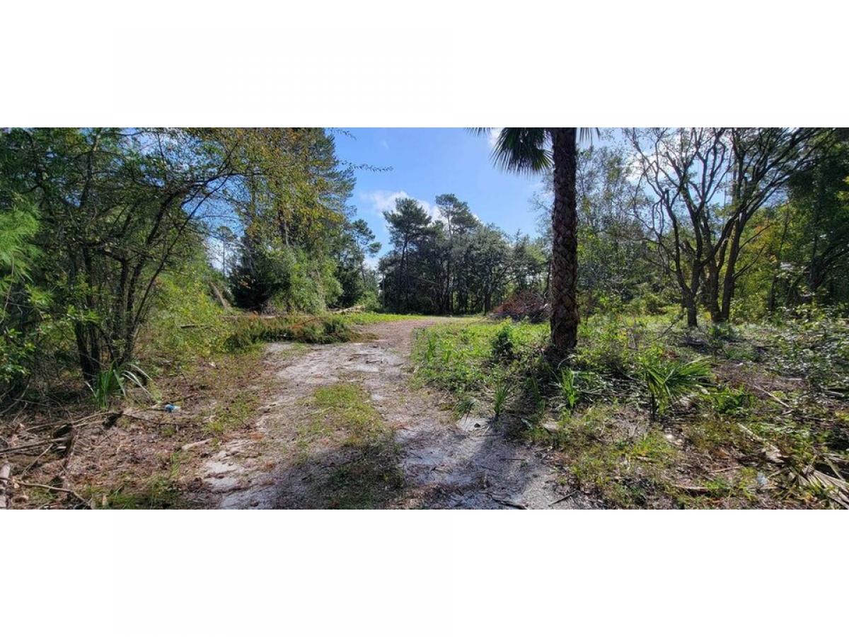 Picture of Residential Land For Sale in Welaka, Florida, United States