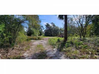 Residential Land For Sale in Welaka, Florida