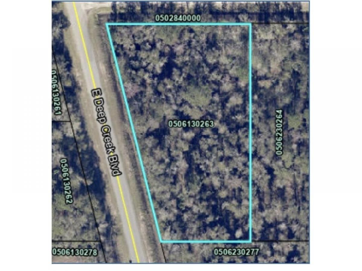 Picture of Residential Land For Sale in Hastings, Florida, United States