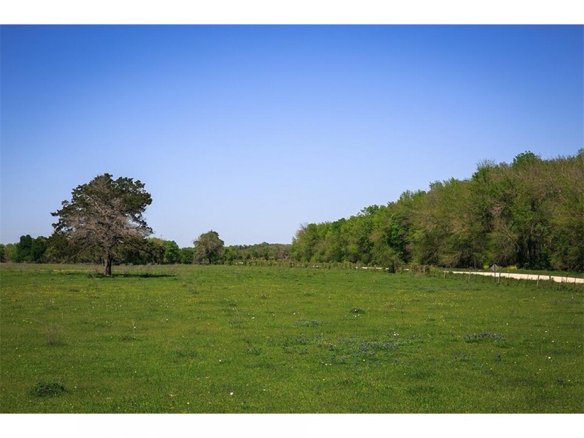 Picture of Residential Land For Sale in Chappell Hill, Texas, United States