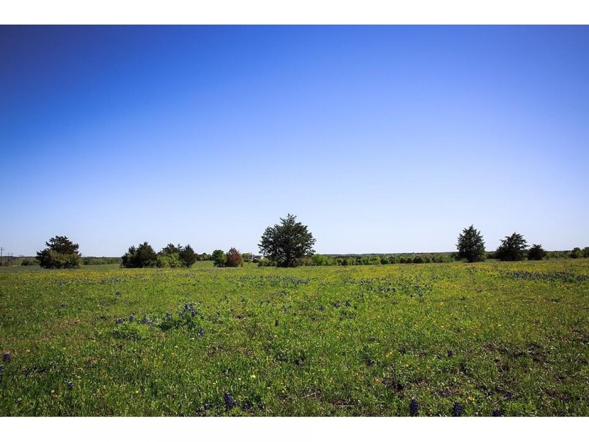 Picture of Residential Land For Sale in Chappell Hill, Texas, United States