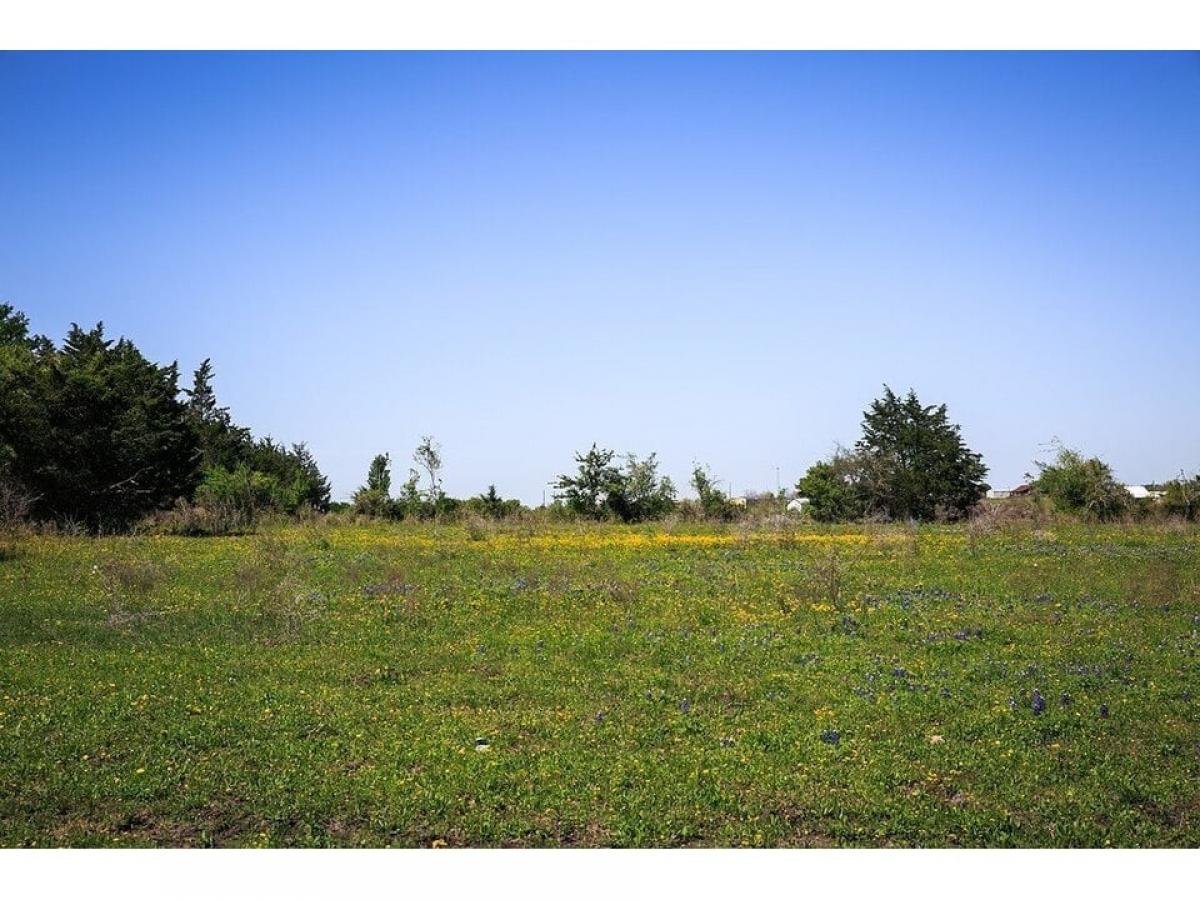 Picture of Residential Land For Sale in Chappell Hill, Texas, United States