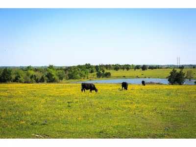 Residential Land For Sale in Chappell Hill, Texas