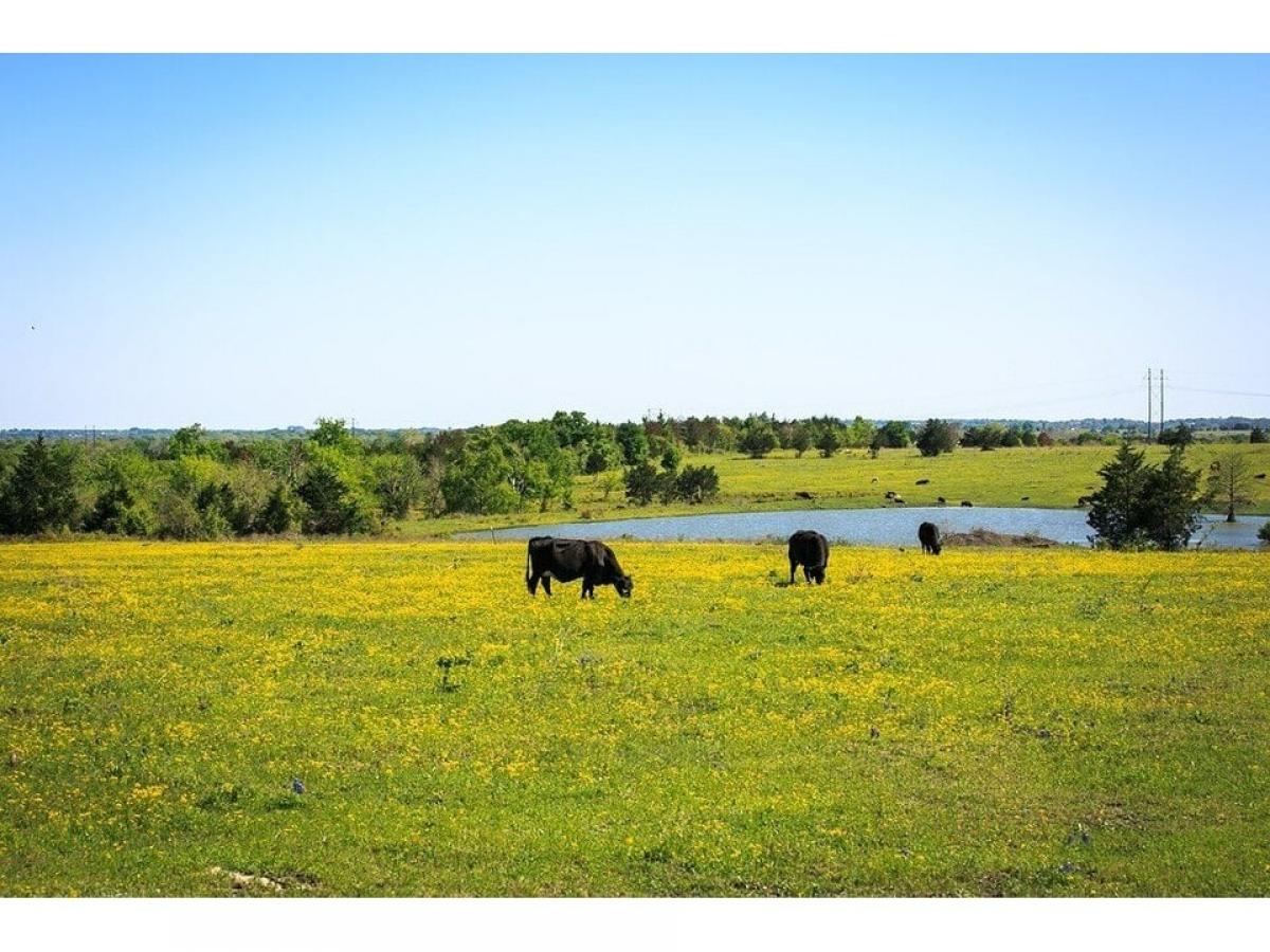 Picture of Residential Land For Sale in Chappell Hill, Texas, United States