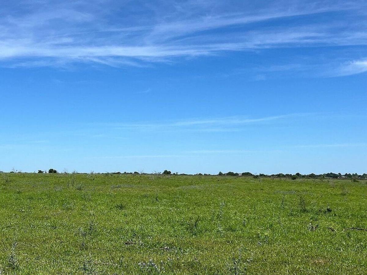 Picture of Residential Land For Sale in Chappell Hill, Texas, United States