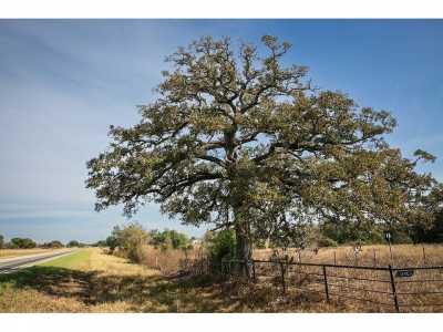 Farm For Sale in Ledbetter, Texas