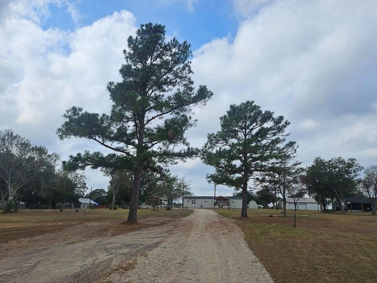 Picture of Farm For Sale in Washington, Texas, United States