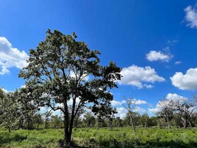 Residential Land For Sale in Brazoria, Texas