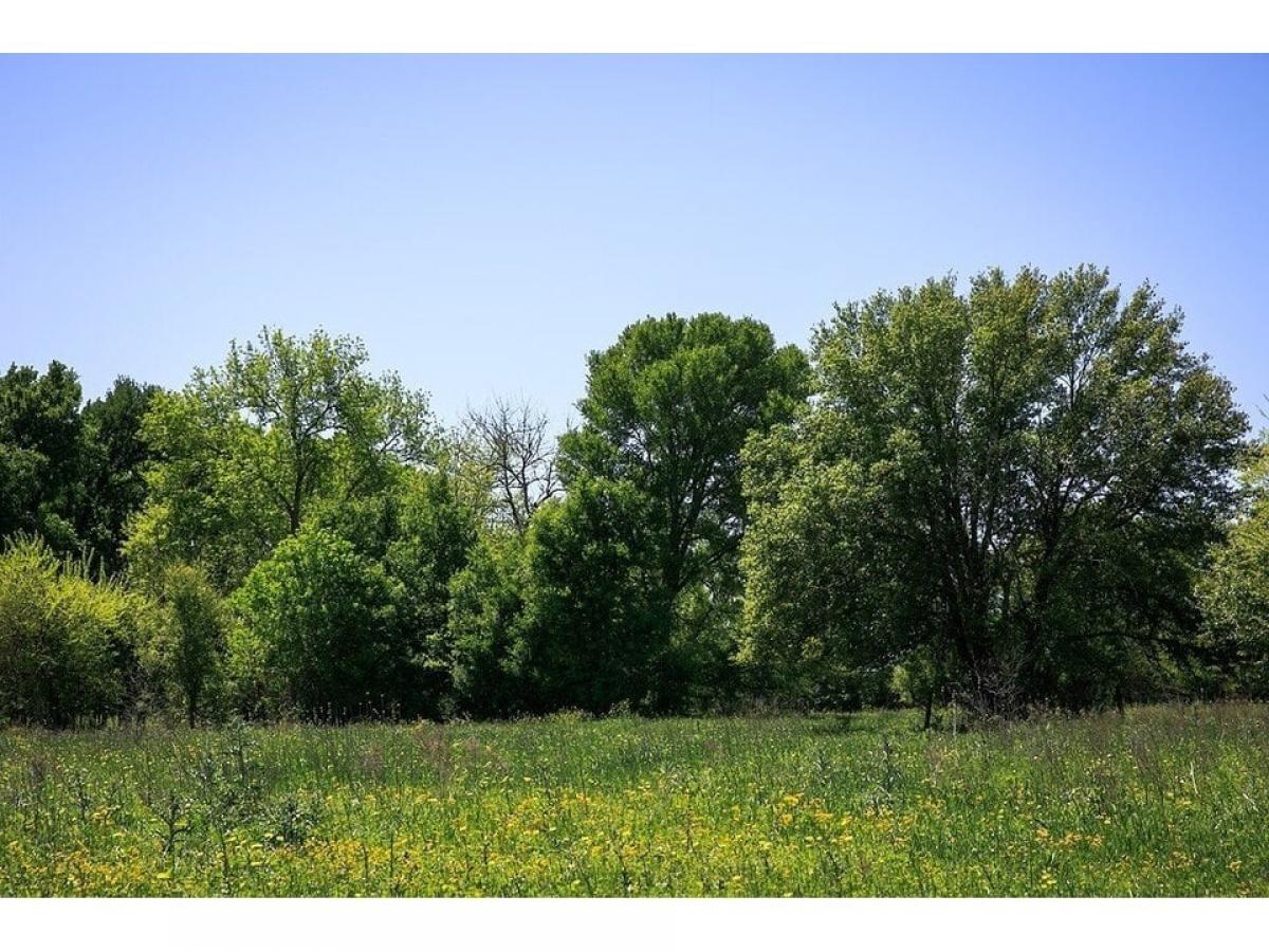 Picture of Residential Land For Sale in Chappell Hill, Texas, United States