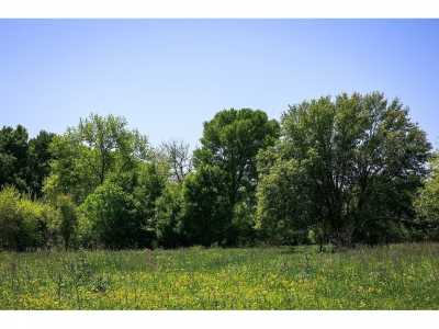 Residential Land For Sale in Chappell Hill, Texas