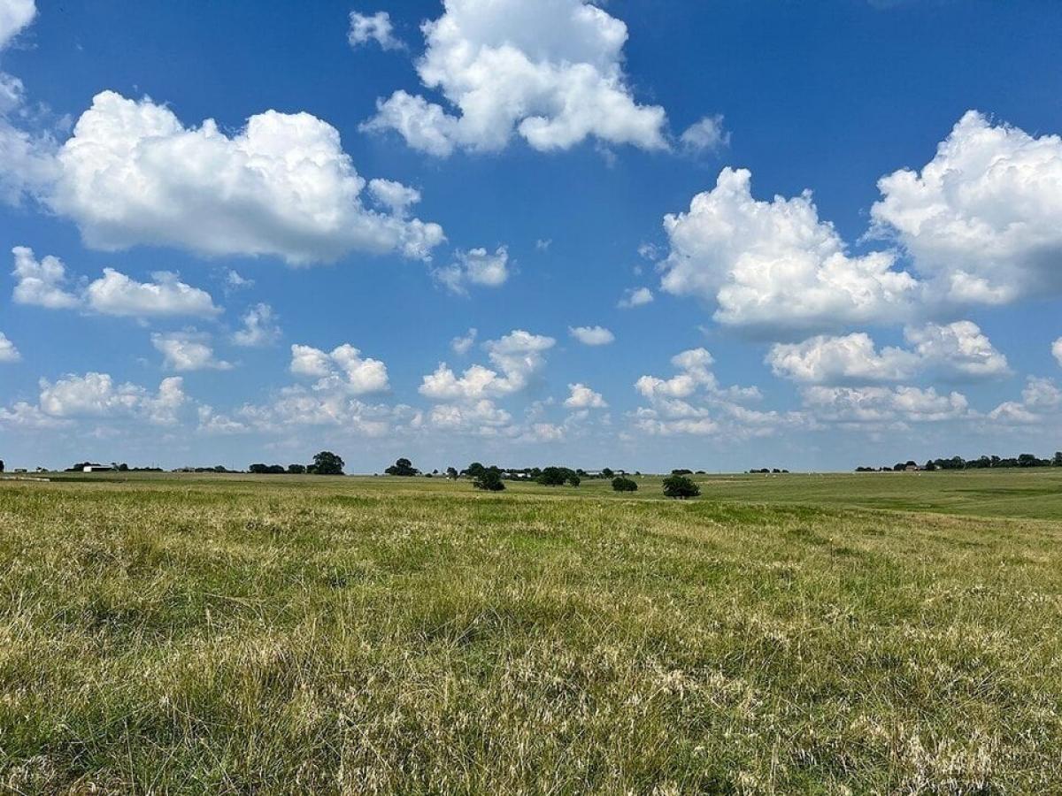 Picture of Residential Land For Sale in Brenham, Texas, United States