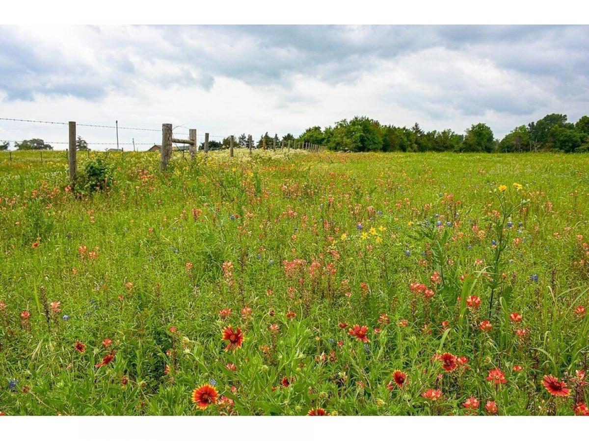 Picture of Residential Land For Sale in Brenham, Texas, United States