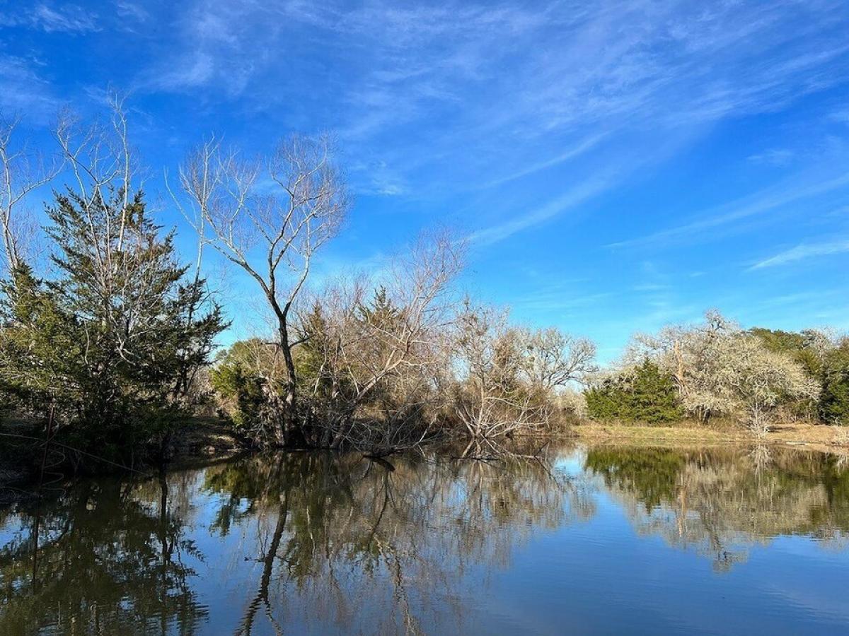 Picture of Residential Land For Sale in Brenham, Texas, United States