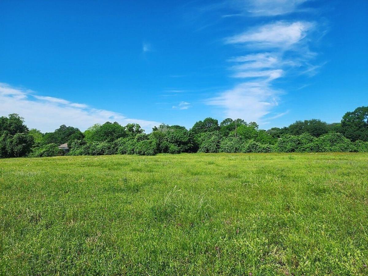 Picture of Residential Land For Sale in Brenham, Texas, United States