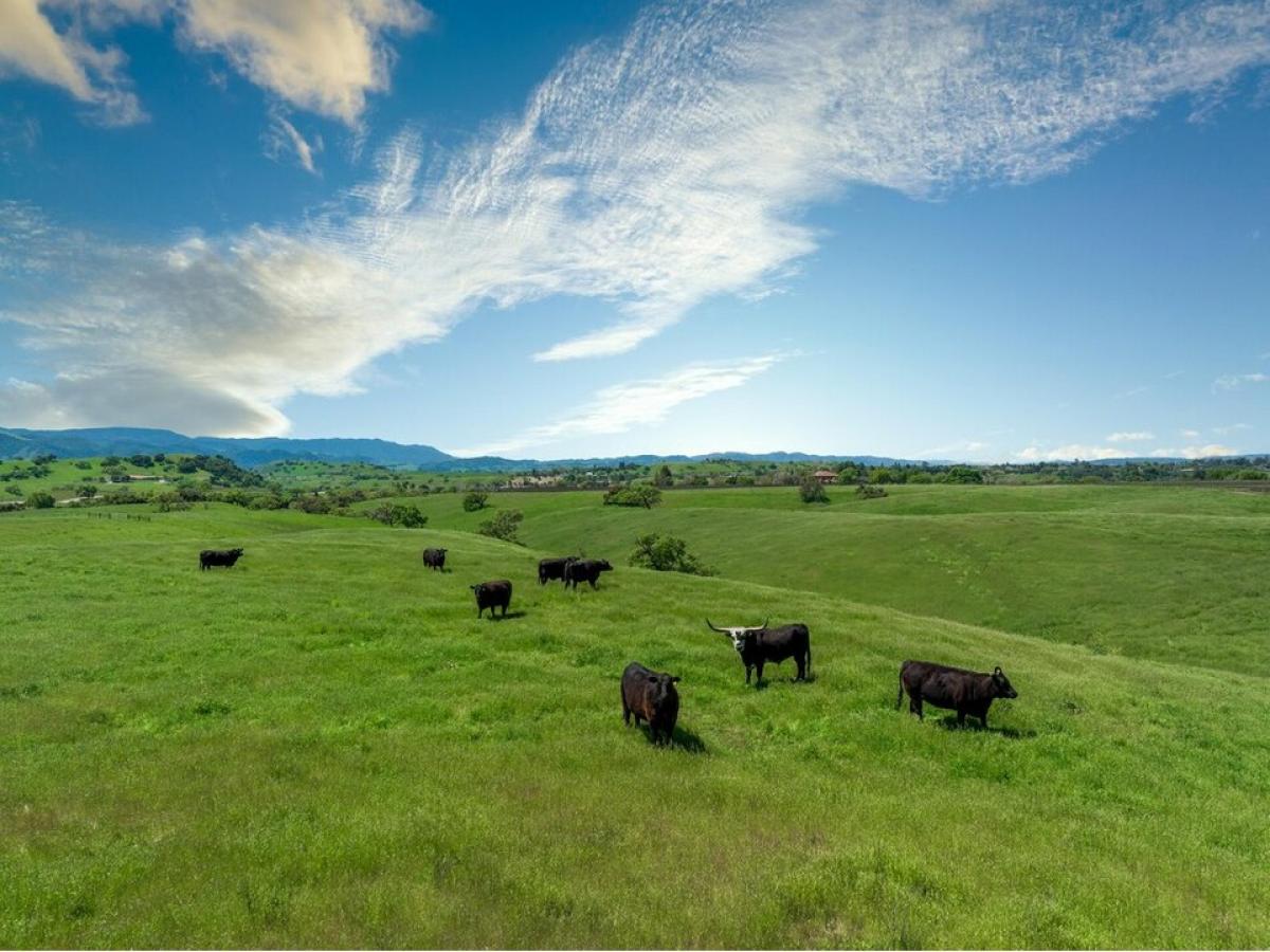 Picture of Residential Land For Sale in Santa Ynez, California, United States