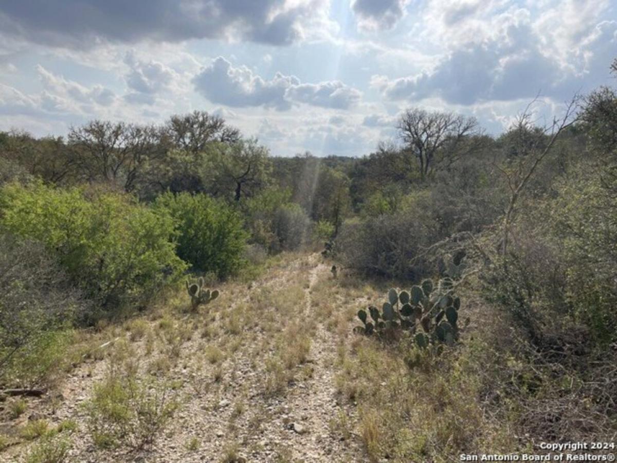 Picture of Residential Land For Sale in Castroville, Texas, United States