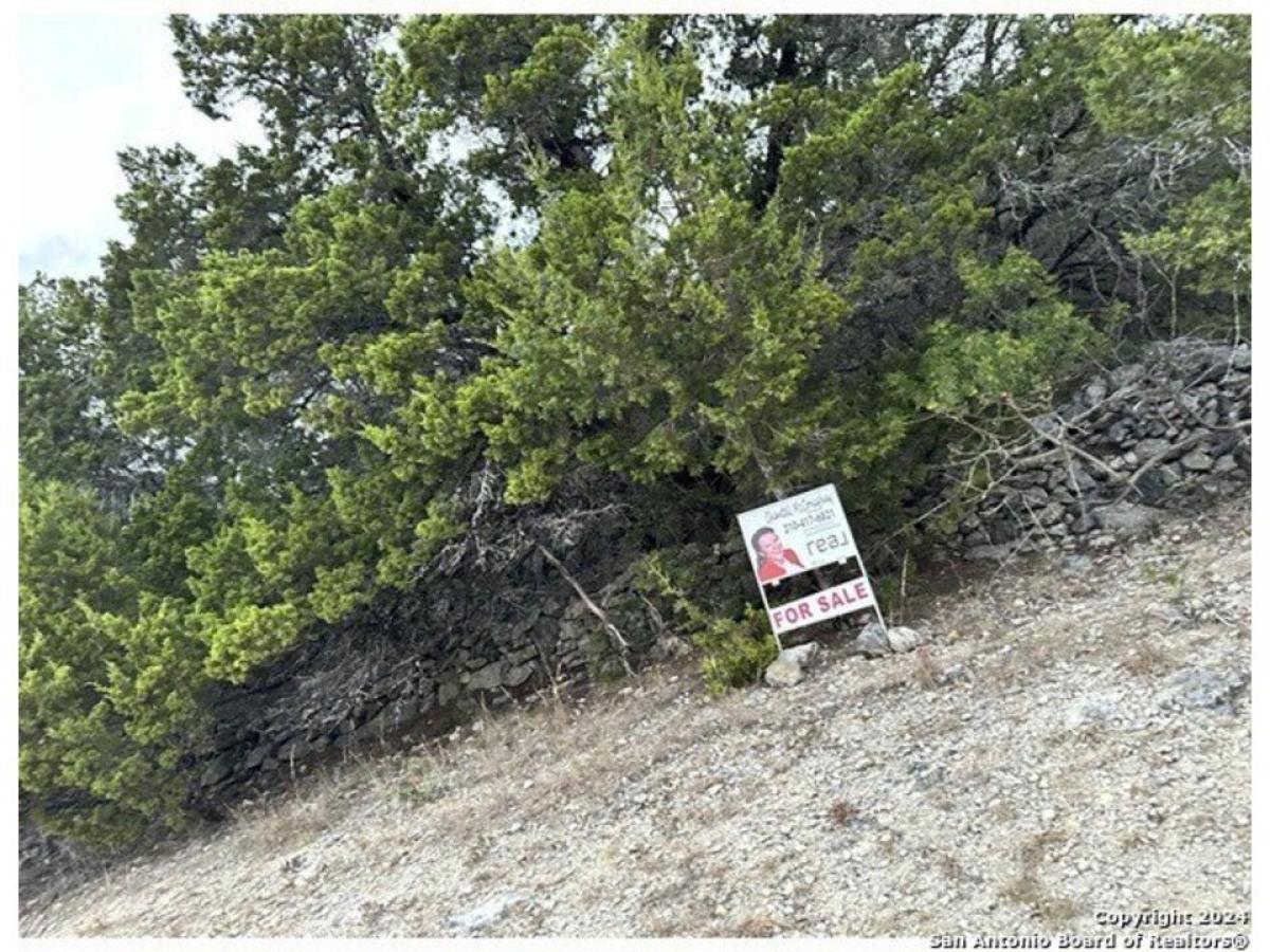 Picture of Residential Land For Sale in Canyon Lake, Texas, United States