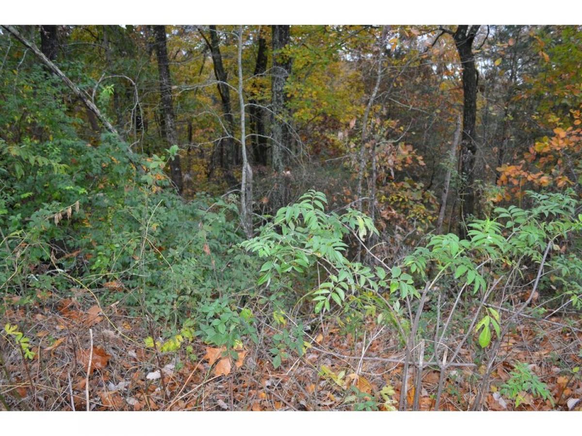 Picture of Residential Land For Sale in Cleveland, Tennessee, United States