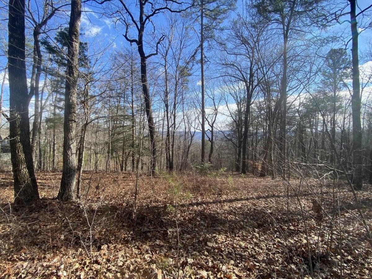 Picture of Residential Land For Sale in Dunlap, Tennessee, United States