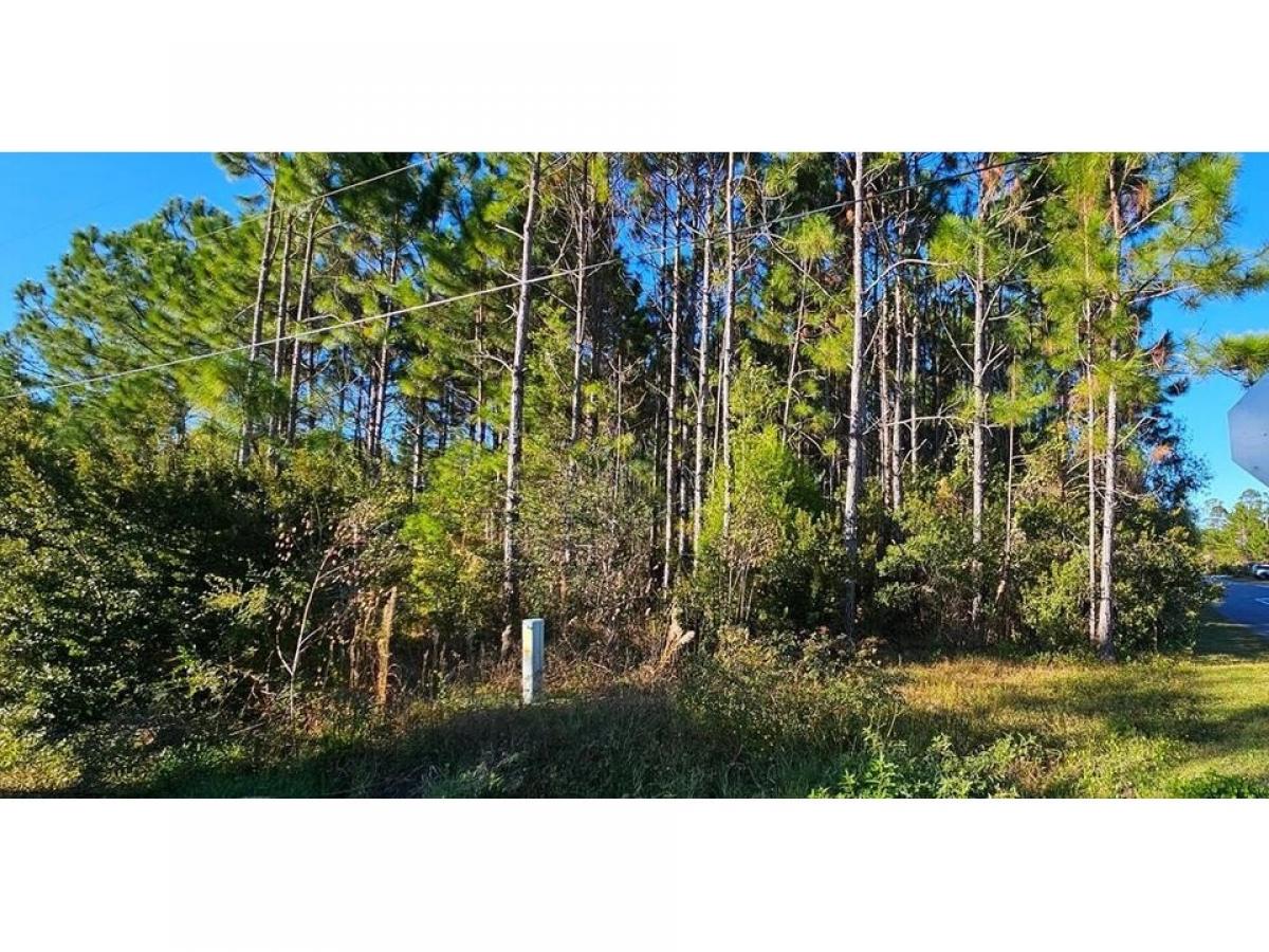 Picture of Residential Land For Sale in Carrabelle, Florida, United States