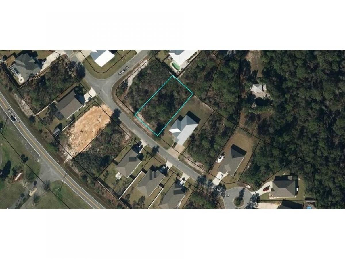 Picture of Residential Land For Sale in Port Saint Joe, Florida, United States