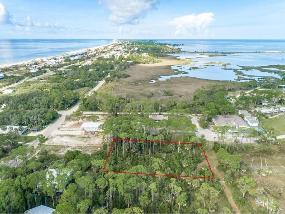 Picture of Residential Land For Sale in Saint George Island, Florida, United States