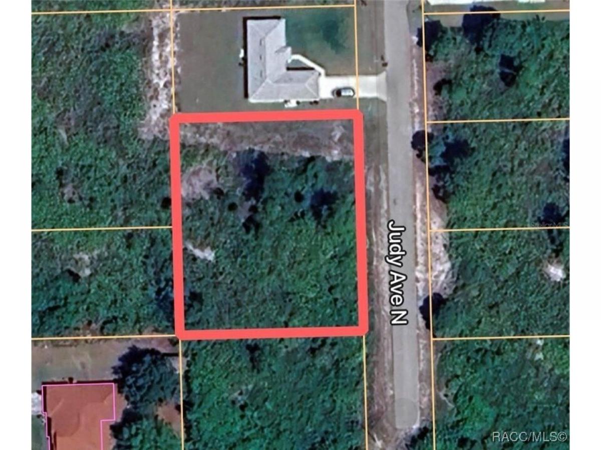 Picture of Residential Land For Sale in Lehigh Acres, Florida, United States