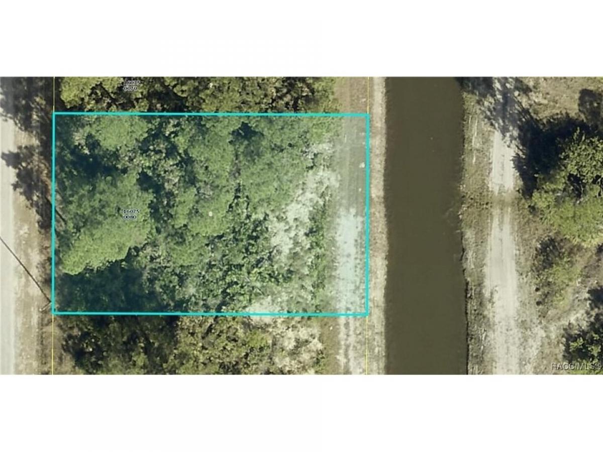 Picture of Residential Land For Sale in Lehigh Acres, Florida, United States