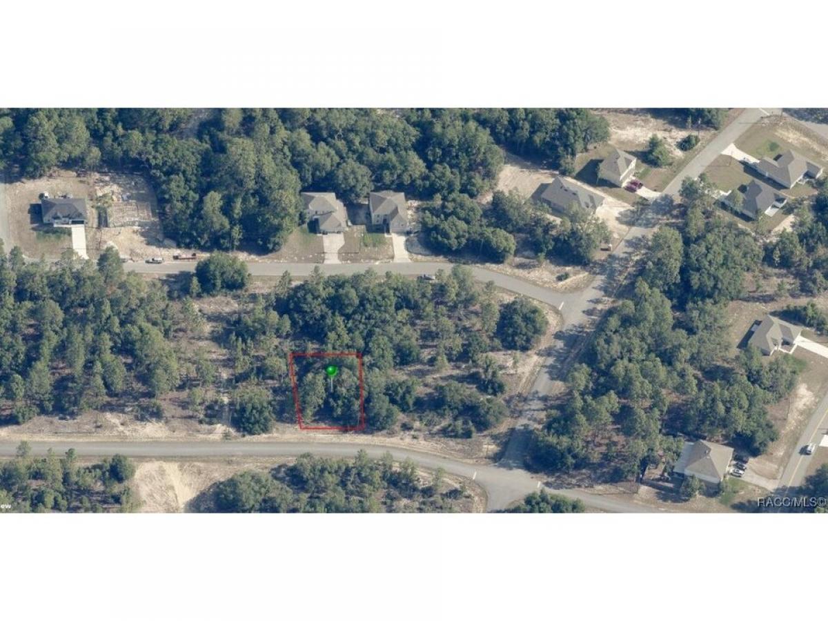 Picture of Residential Land For Sale in Citrus Springs, Florida, United States