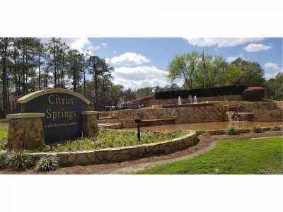 Residential Land For Sale in Citrus Springs, Florida