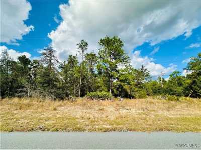 Residential Land For Sale in Citrus Springs, Florida