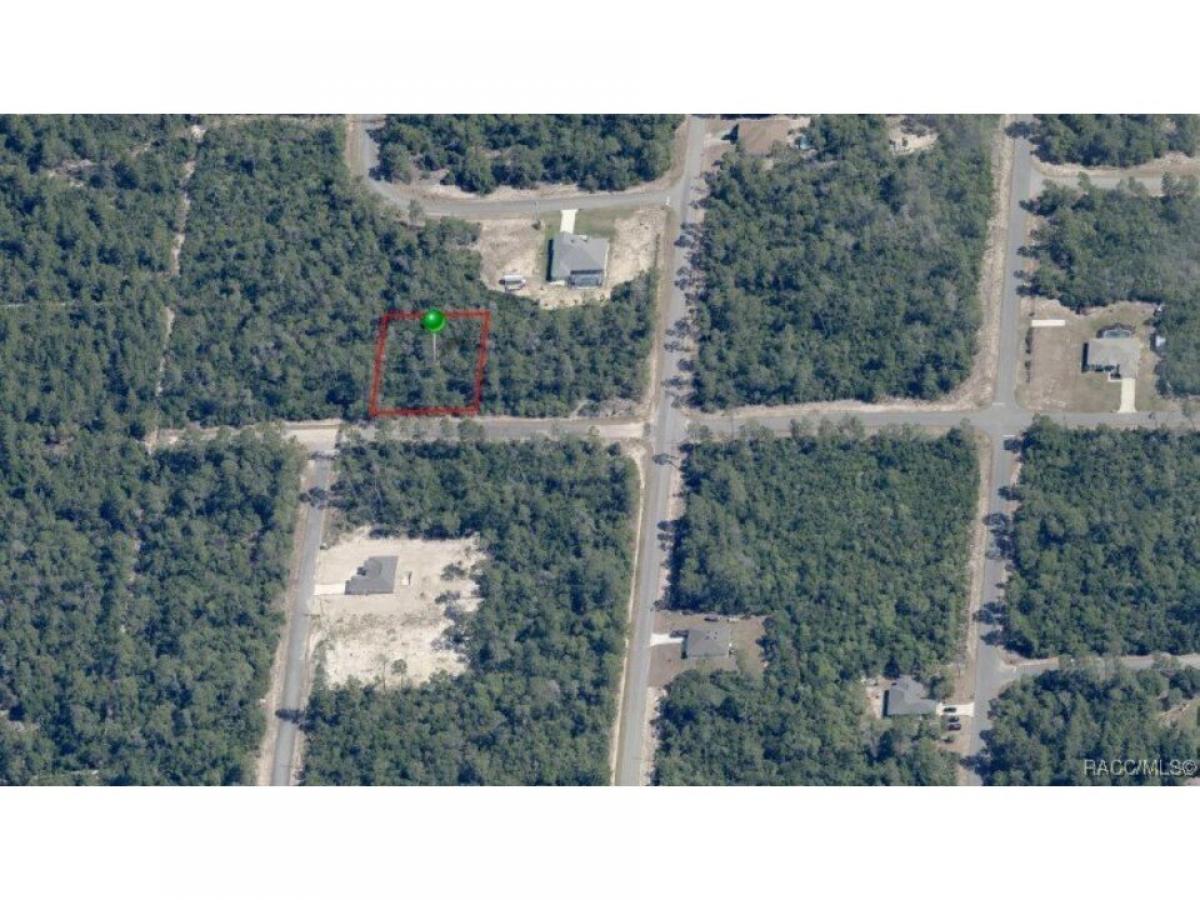 Picture of Residential Land For Sale in Citrus Springs, Florida, United States