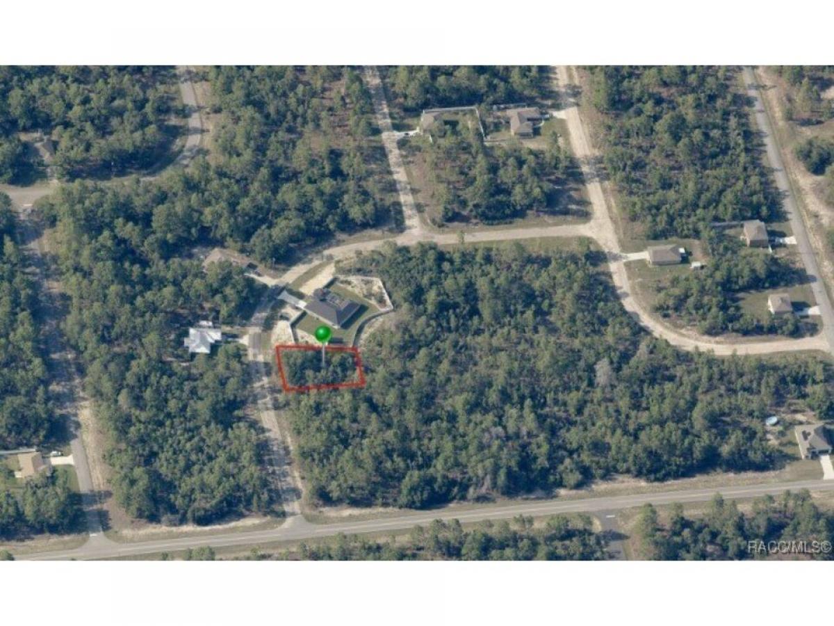 Picture of Residential Land For Sale in Citrus Springs, Florida, United States