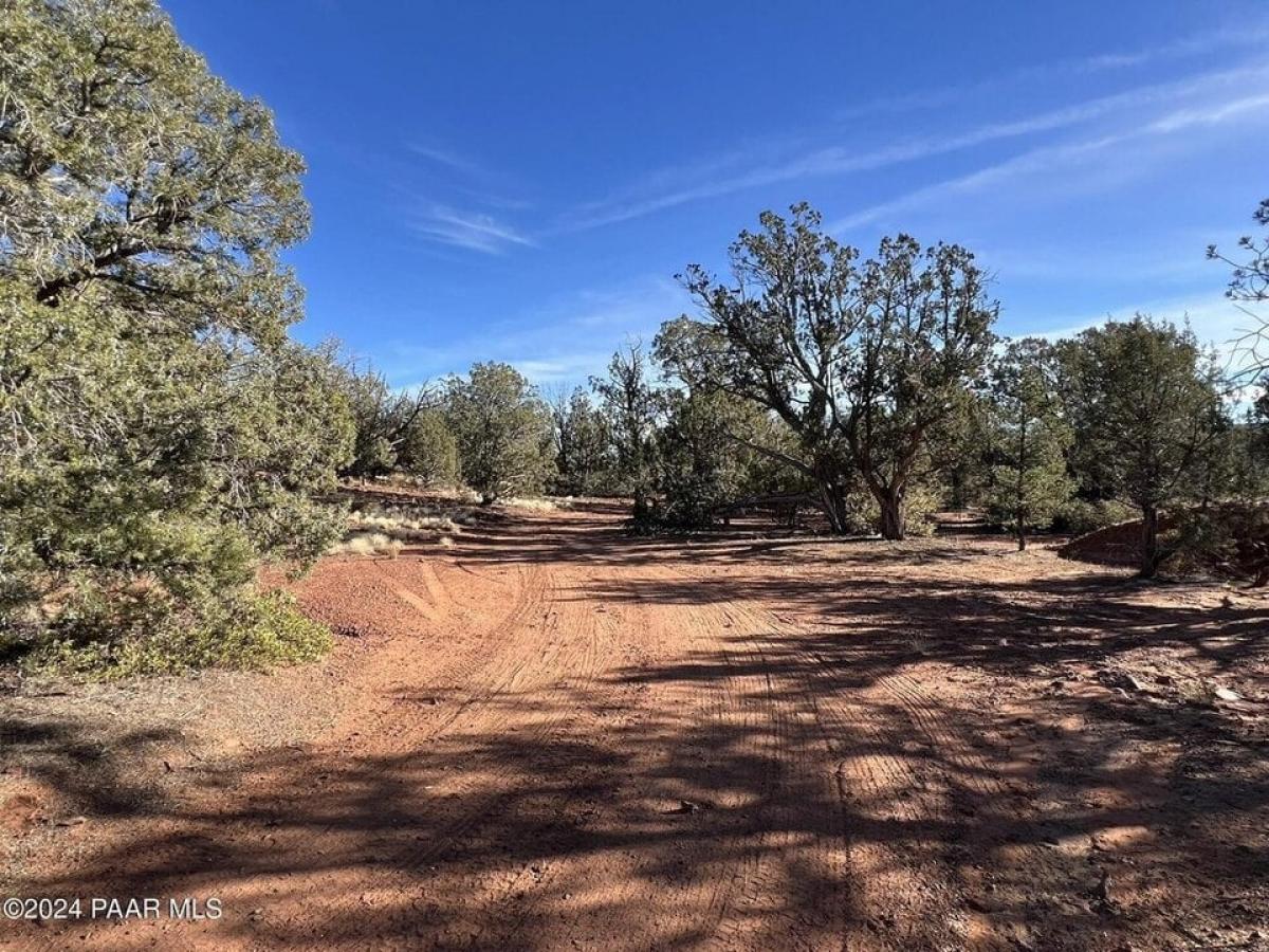 Picture of Residential Land For Sale in Ash Fork, Arizona, United States