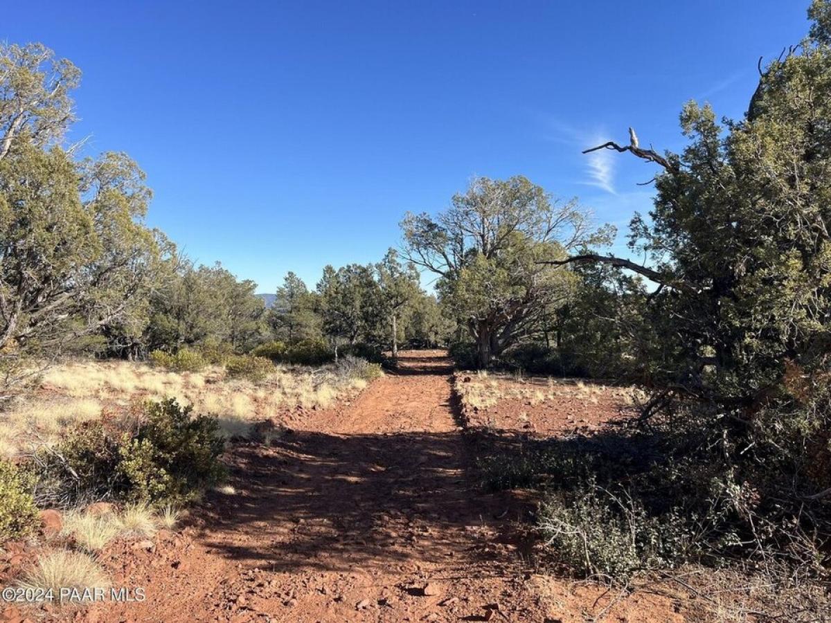 Picture of Residential Land For Sale in Ash Fork, Arizona, United States