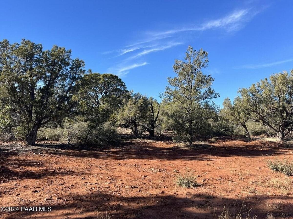 Picture of Residential Land For Sale in Ash Fork, Arizona, United States