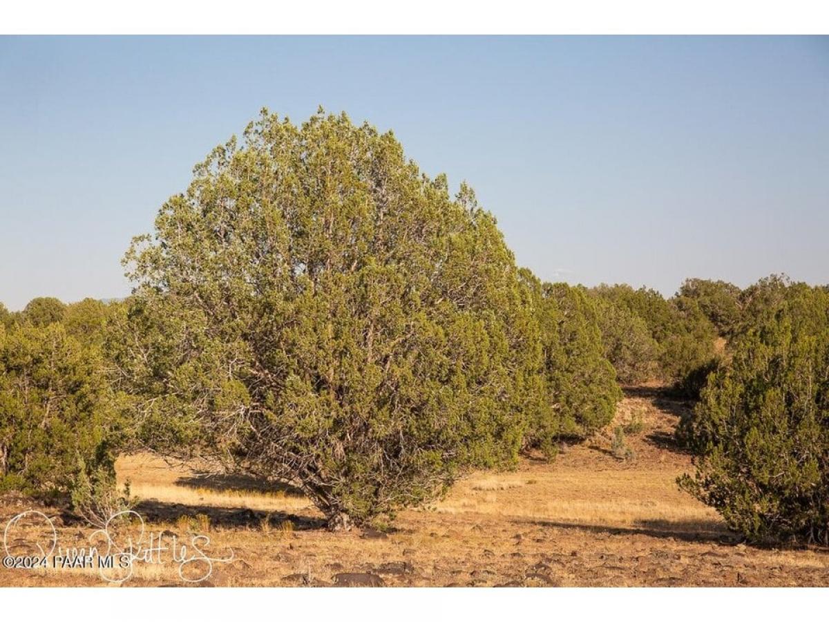 Picture of Residential Land For Sale in Ash Fork, Arizona, United States