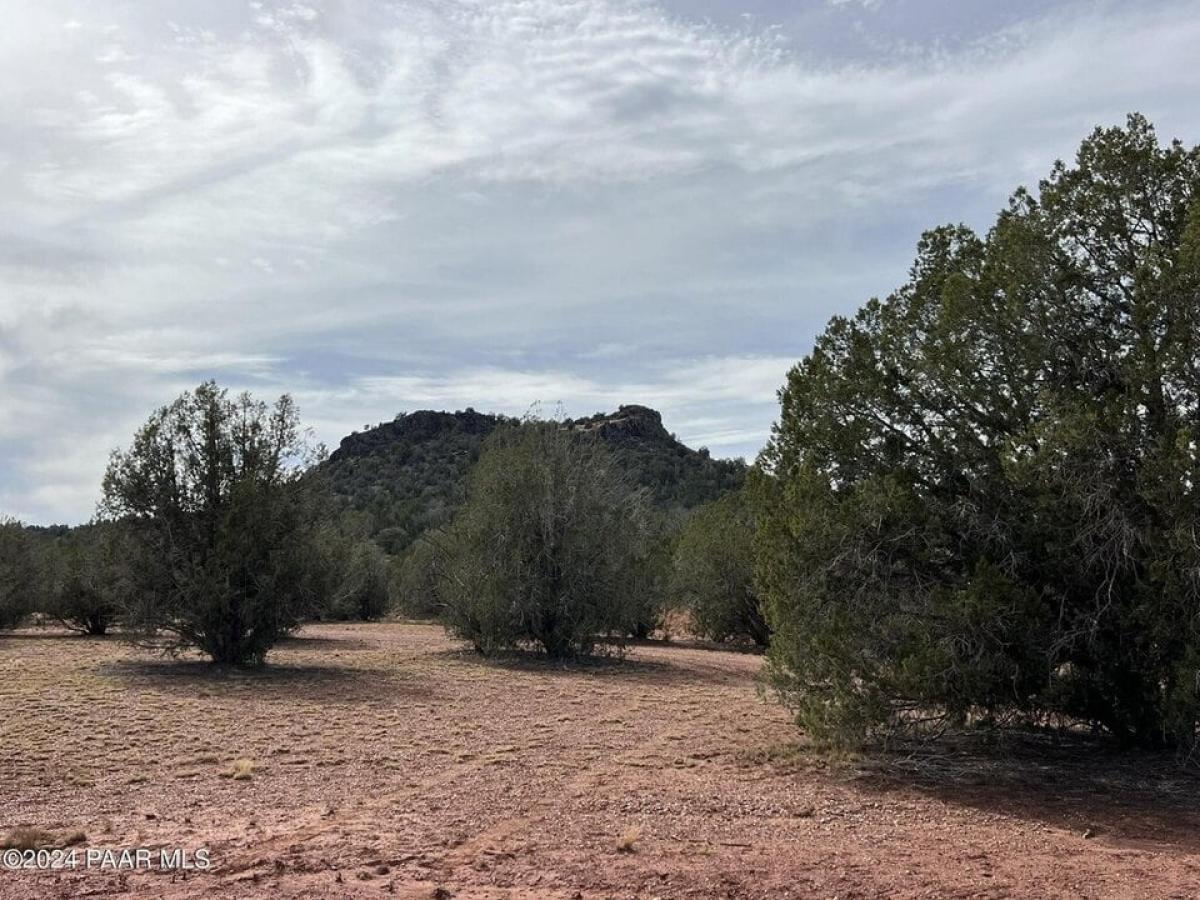 Picture of Residential Land For Sale in Ash Fork, Arizona, United States