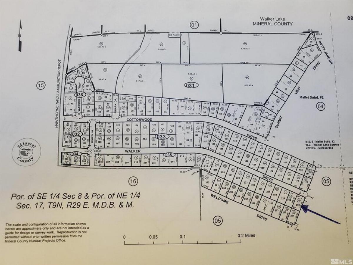 Picture of Residential Land For Sale in Walker Lake, Nevada, United States