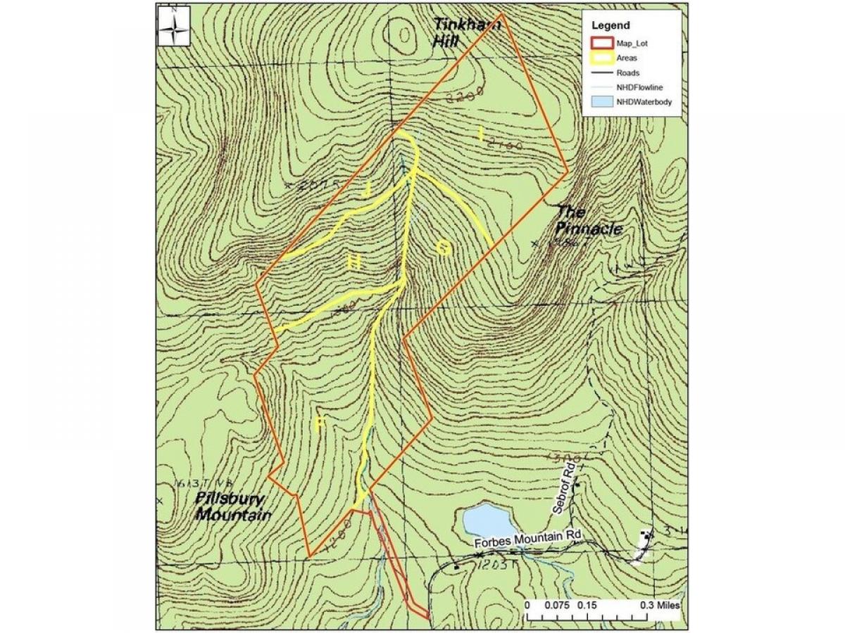 Picture of Residential Land For Sale in Danbury, New Hampshire, United States