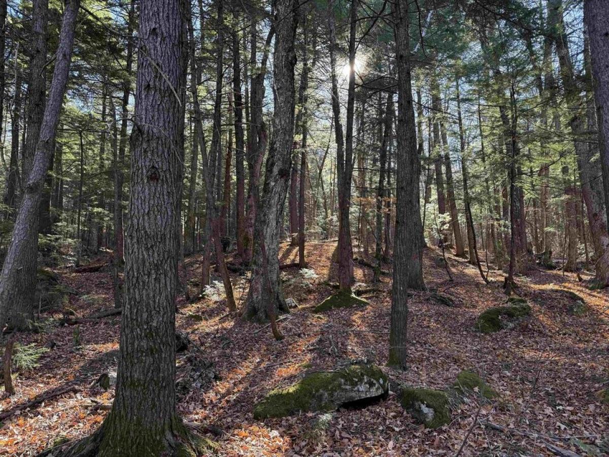 Picture of Residential Land For Sale in Madison, New Hampshire, United States