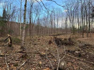 Residential Land For Sale in New Durham, New Hampshire