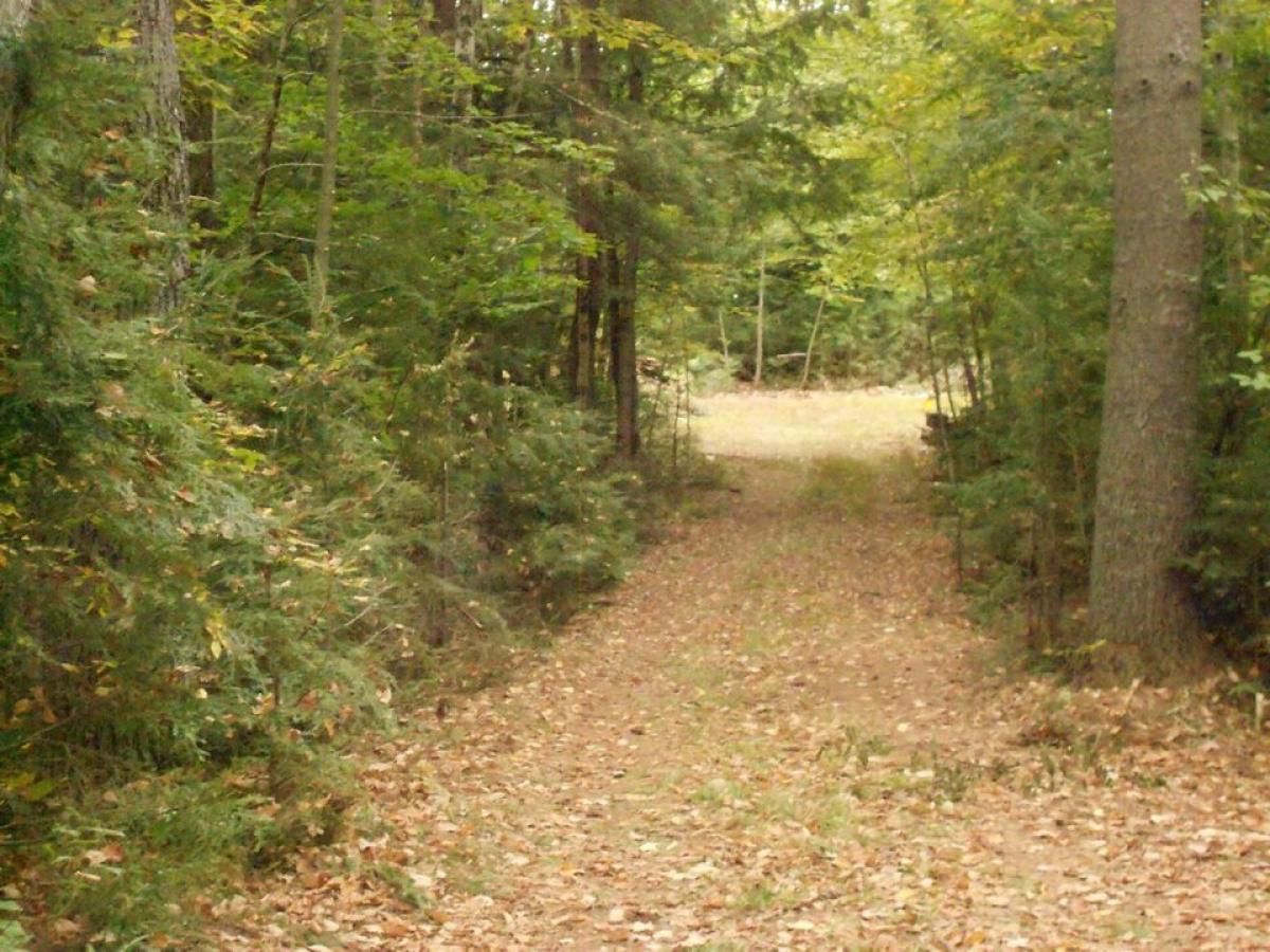 Picture of Residential Land For Sale in Barnstead, New Hampshire, United States