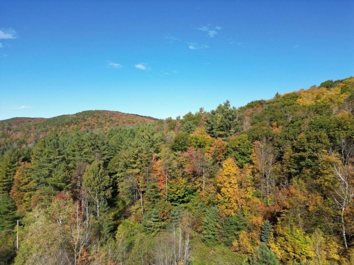 Picture of Residential Land For Sale in Hinesburg, Vermont, United States