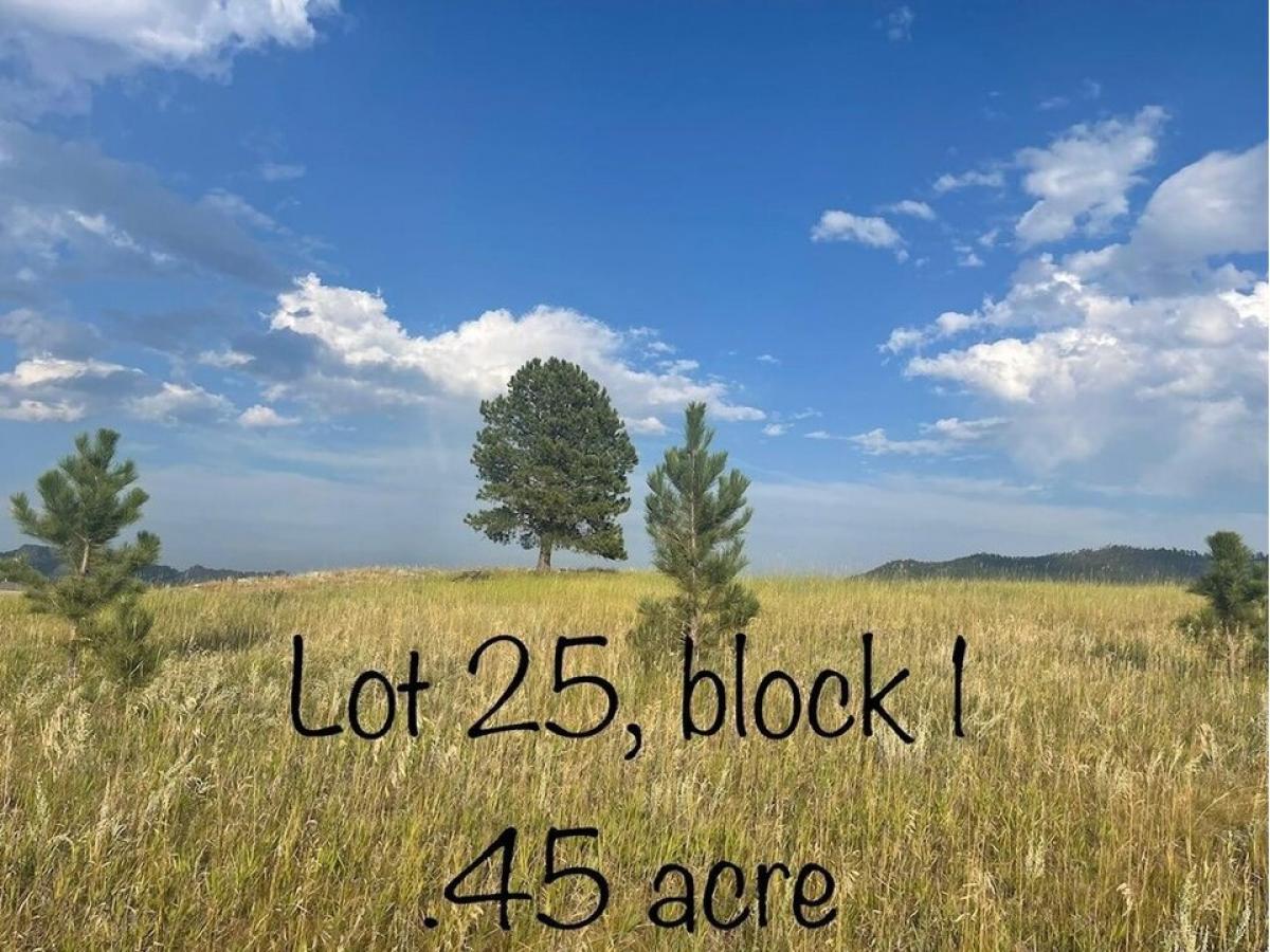 Picture of Residential Land For Sale in Custer, South Dakota, United States