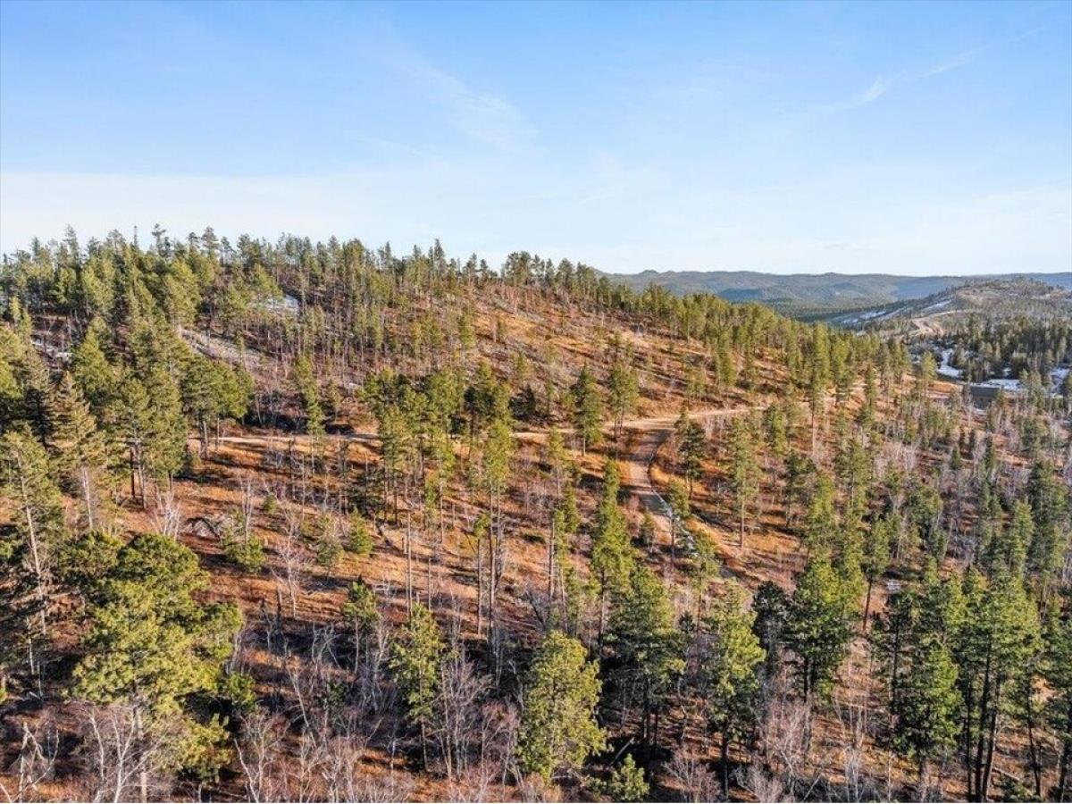 Picture of Residential Land For Sale in Lead, South Dakota, United States