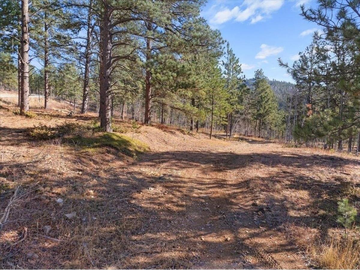 Picture of Residential Land For Sale in Lead, South Dakota, United States