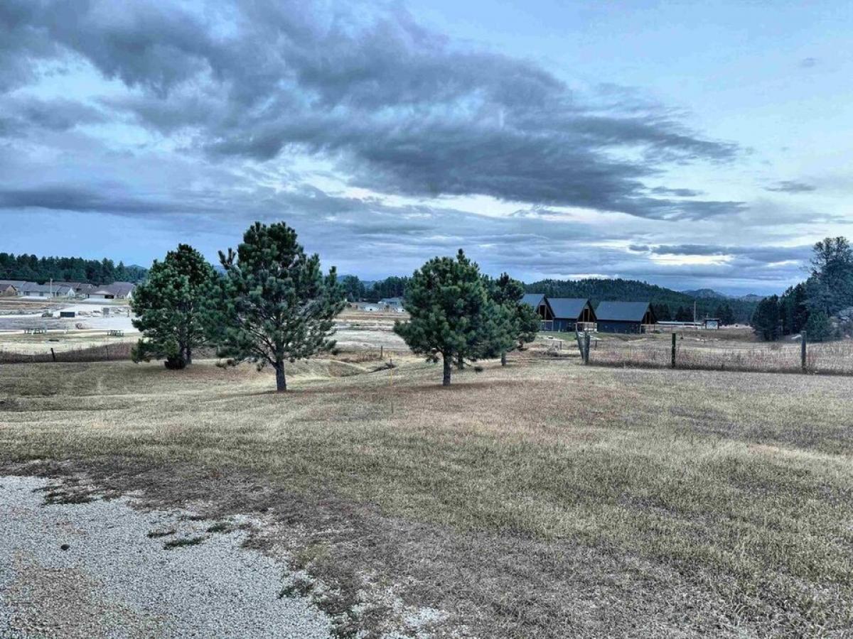 Picture of Residential Land For Sale in Custer, South Dakota, United States