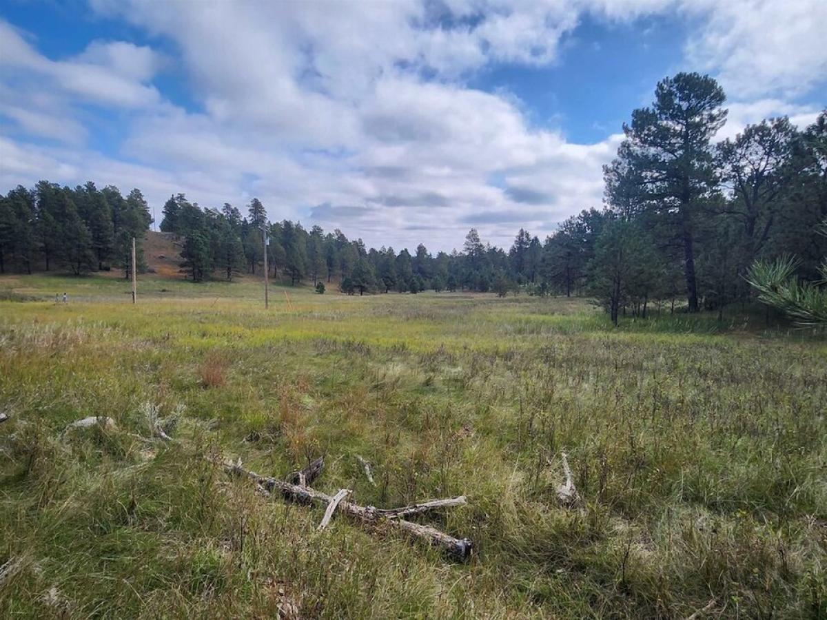 Picture of Residential Land For Sale in Hermosa, South Dakota, United States