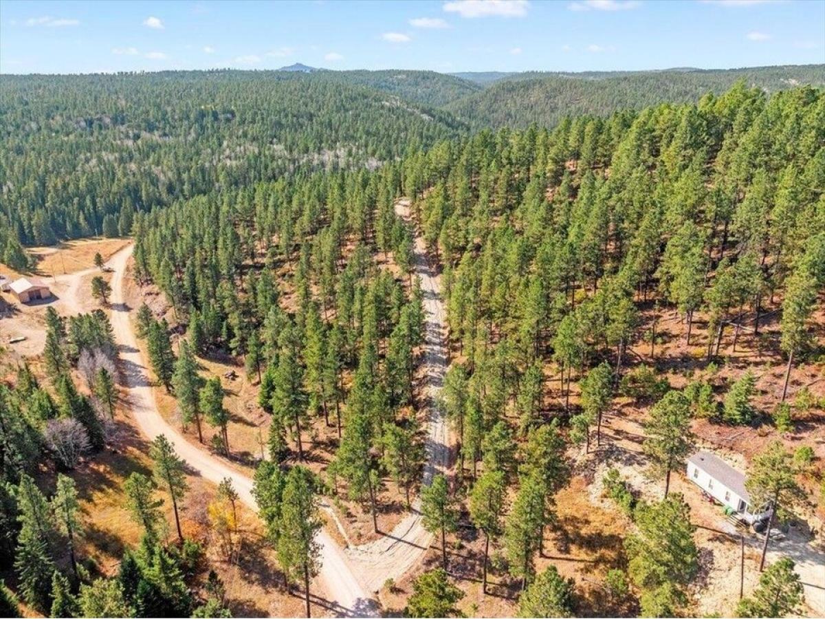 Picture of Residential Land For Sale in Deadwood, South Dakota, United States